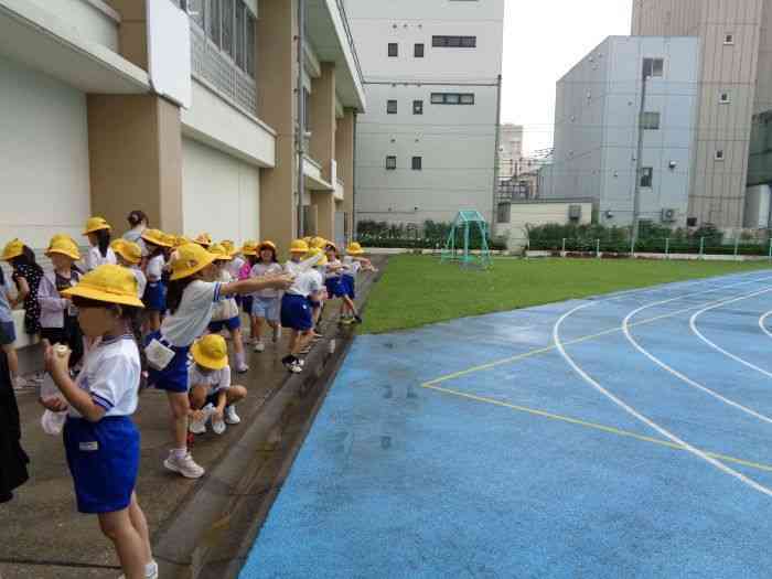 file6aa3645e56cac1