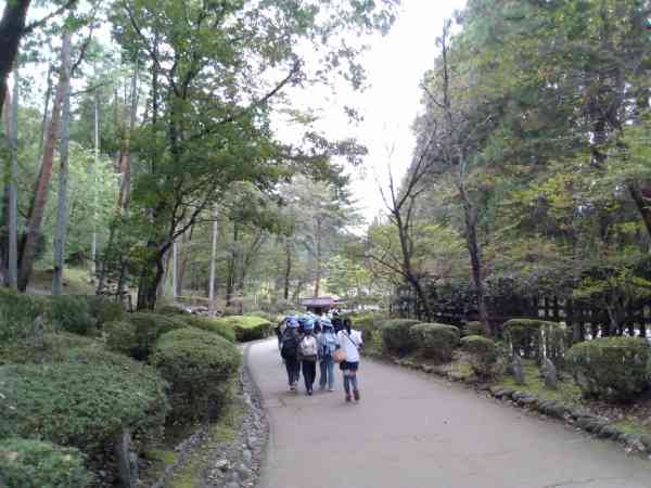 IMG_20261005_110046
